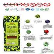 RADICO ORGANIC HAIR COLOUR Reddish Blonde