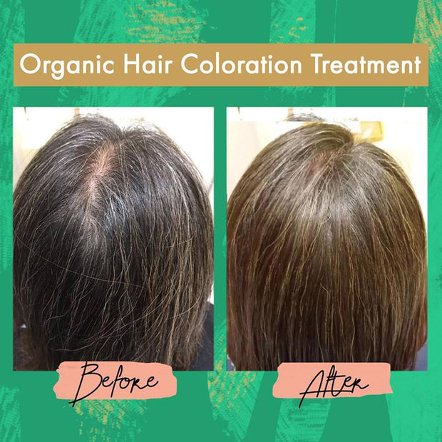 RADICO ORGANIC HAIR COLOUR Dark Brown